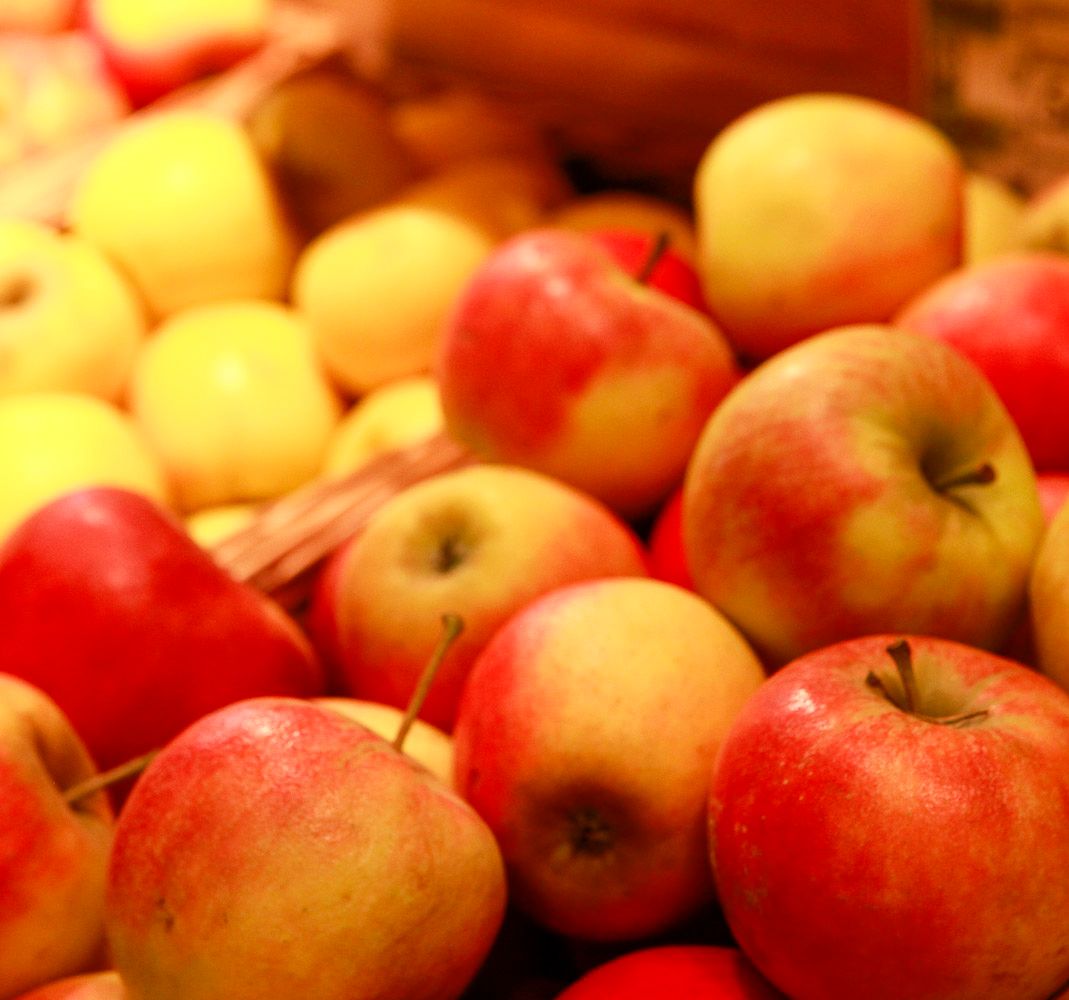 Frische Bio-Äpfel in der Auslage des Bioladens Lüneburg Häcklingen