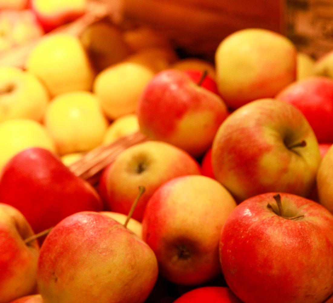 Frische Bio-Äpfel in der Auslage des Bioladens Lüneburg Häcklingen