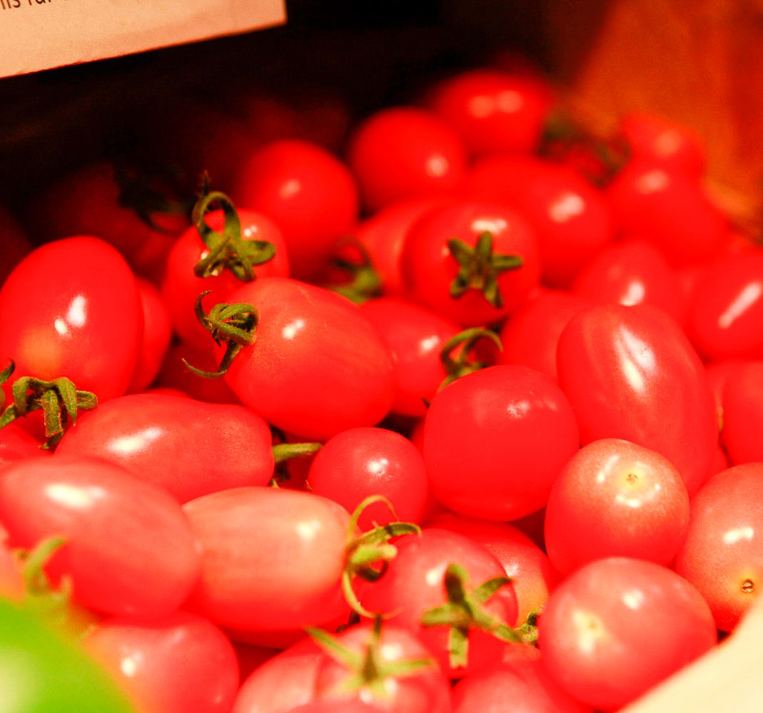 Kiste mit Bio-Tomaten im Bioladen Lüneburg Häcklingen