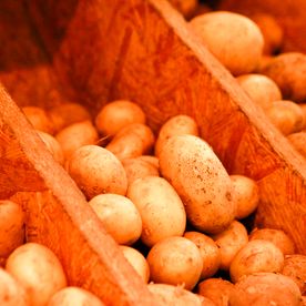 Bio-Kartoffeln in Kisten im Bioladen Lüneburg - Naturkostladen Häcklingen