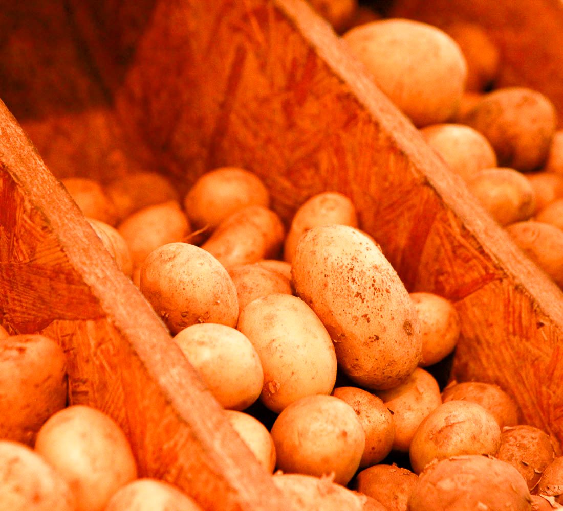 Bio-Kartoffeln in Kisten im Bioladen Lüneburg - Naturkostladen Häcklingen