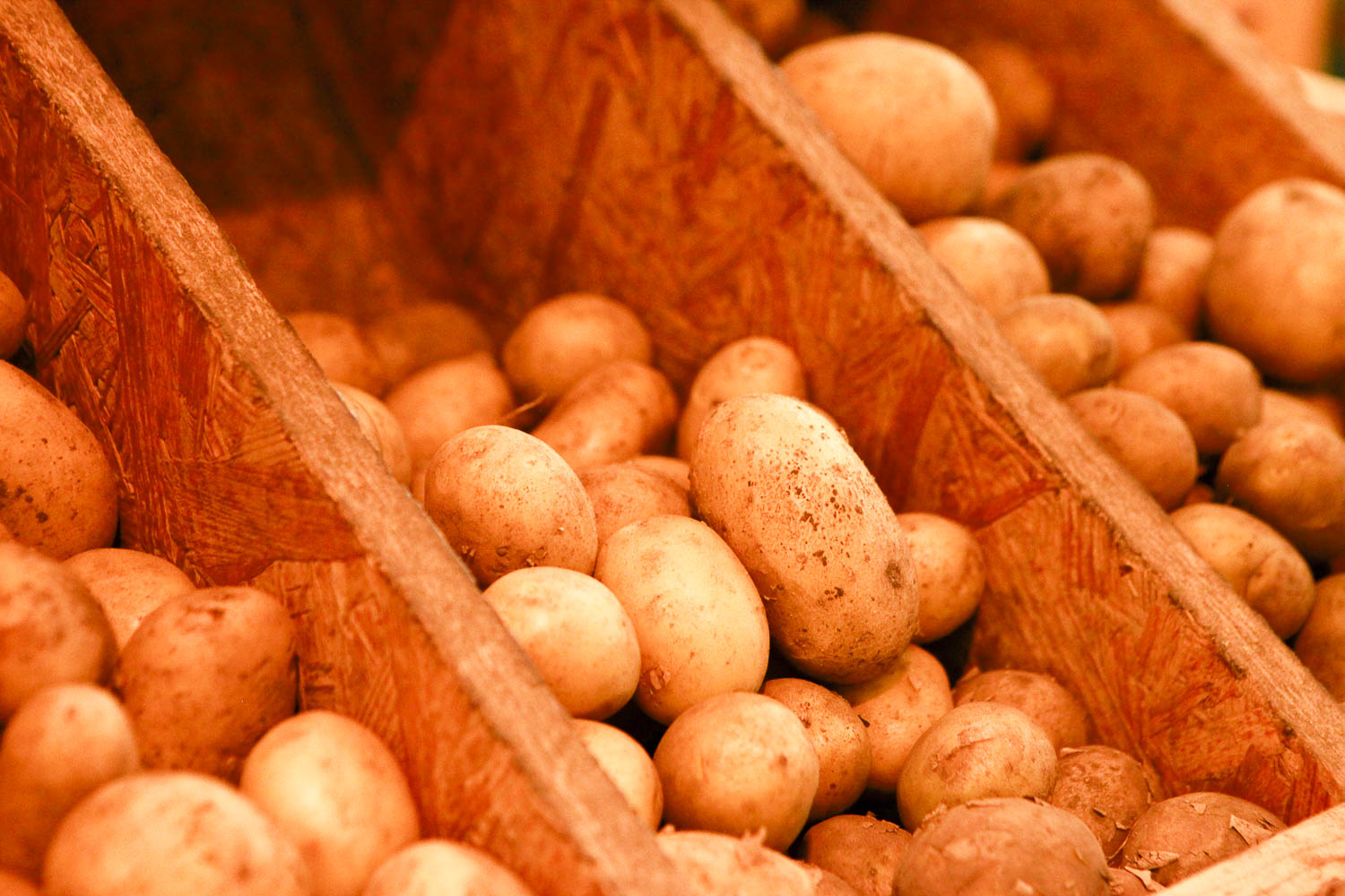 Bio-Kartoffeln in Kisten im Bioladen Lüneburg - Naturkostladen Häcklingen