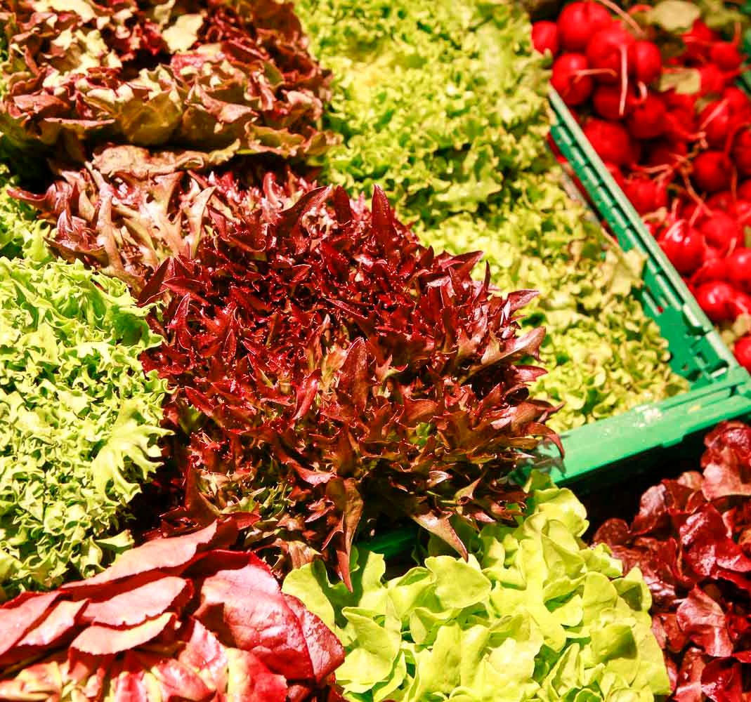 Bio-Salate in Kisten im Bioladen Lüneburg - Naturkostladen Häcklingen