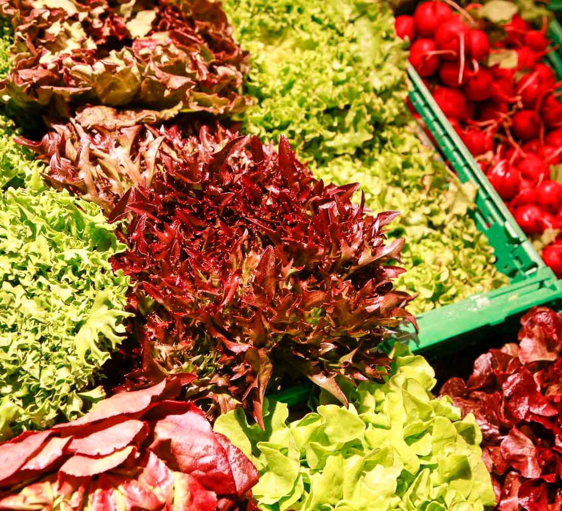 Bio-Salate in Kisten im Bioladen Lüneburg - Naturkostladen Häcklingen